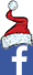 facebook_logo_30x68_med nissehue