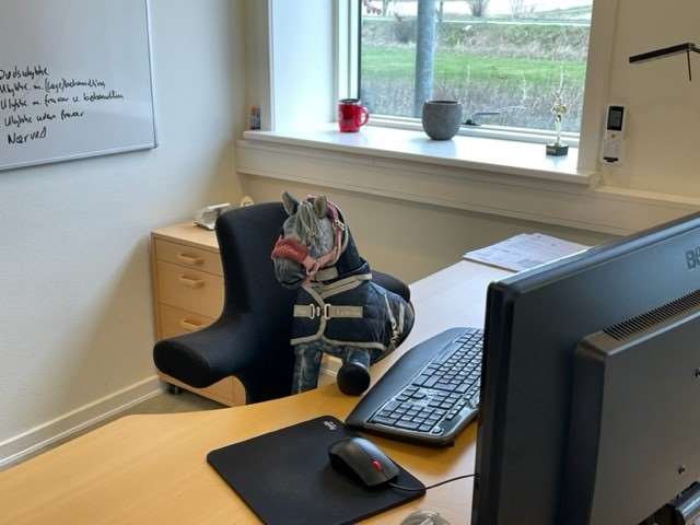 direktørplads